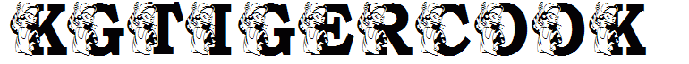KGTIGERCOOK