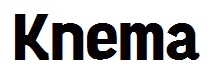 Knema