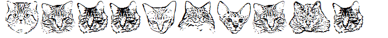 KittyPrint