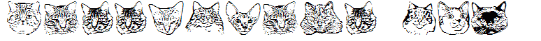 KittyPrint AOE