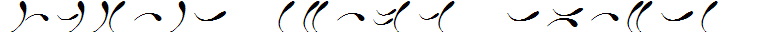 Junari Claws Italic