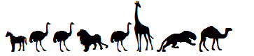 Zoologic