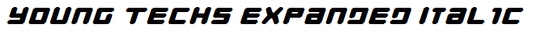 Young Techs Expanded Italic