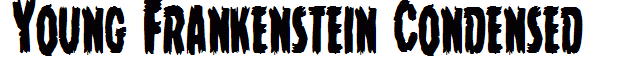 Young Frankenstein Condensed