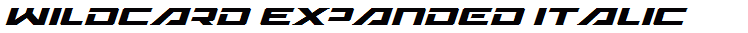 Wildcard Expanded Italic
