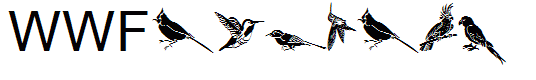 WWFeathers