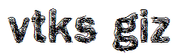 vtks giz