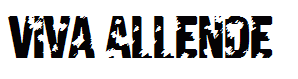 Viva Allende