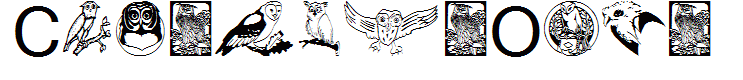 CarstensOwls