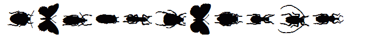 ChileanBugs