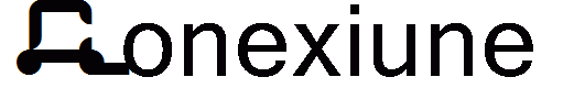 Conexiune