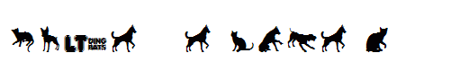 Cats vs Dogs LT