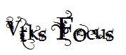 Vtks Focus