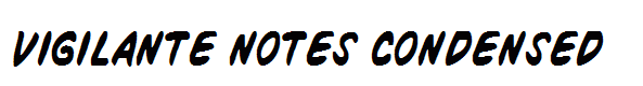 Vigilante Notes Condensed