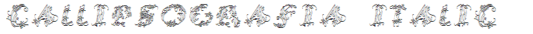 CalliPsoGrafia  Italic
