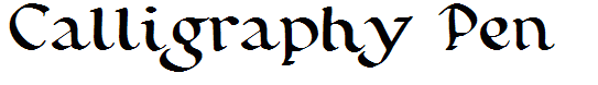 Calligraphy Pen