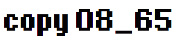 copy 08_65