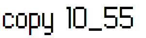 copy 10_55