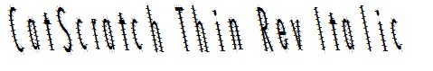 CatScratch Thin Rev Italic
