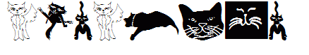 CatCrypt
