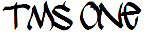 TMS One