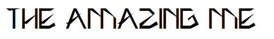 THE AMAZING ME