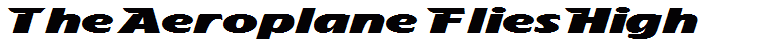 The Aeroplane Flies High