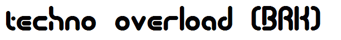 techno overload (BRK)