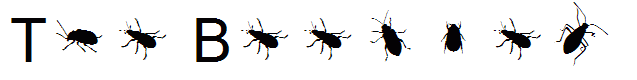 The Beetles