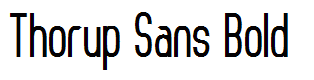 Thorup Sans Bold