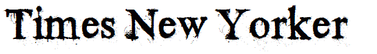 Times New Yorker