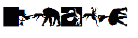 TypoApish