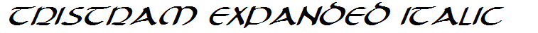 Tristram Expanded Italic