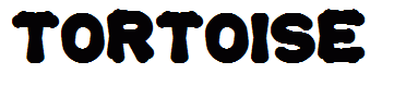 tortoise