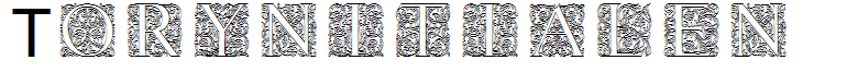 Torynitialen