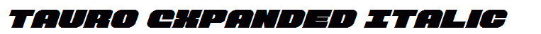 Tauro Expanded Italic
