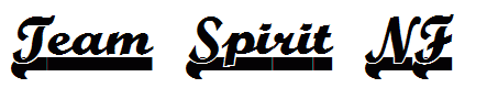 Team Spirit NF
