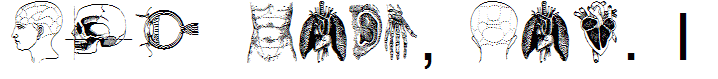 the body, vol. I