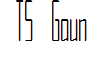 TS Gaunt