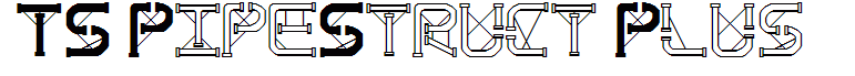 TS PipeStruct Plus