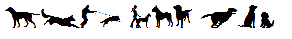 can dog tfb