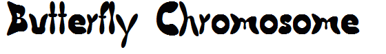 Butterfly Chromosome