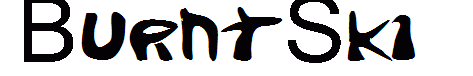 BurntSkin