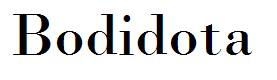 Bodidota