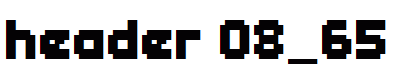 header 08_65
