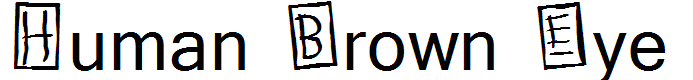Human Brown Eye
