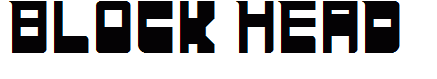 BLOCK HEAD