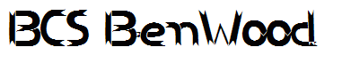 BCS BenWood