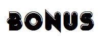 Bonus