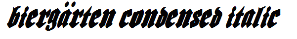 Bierg?rten Condensed Italic